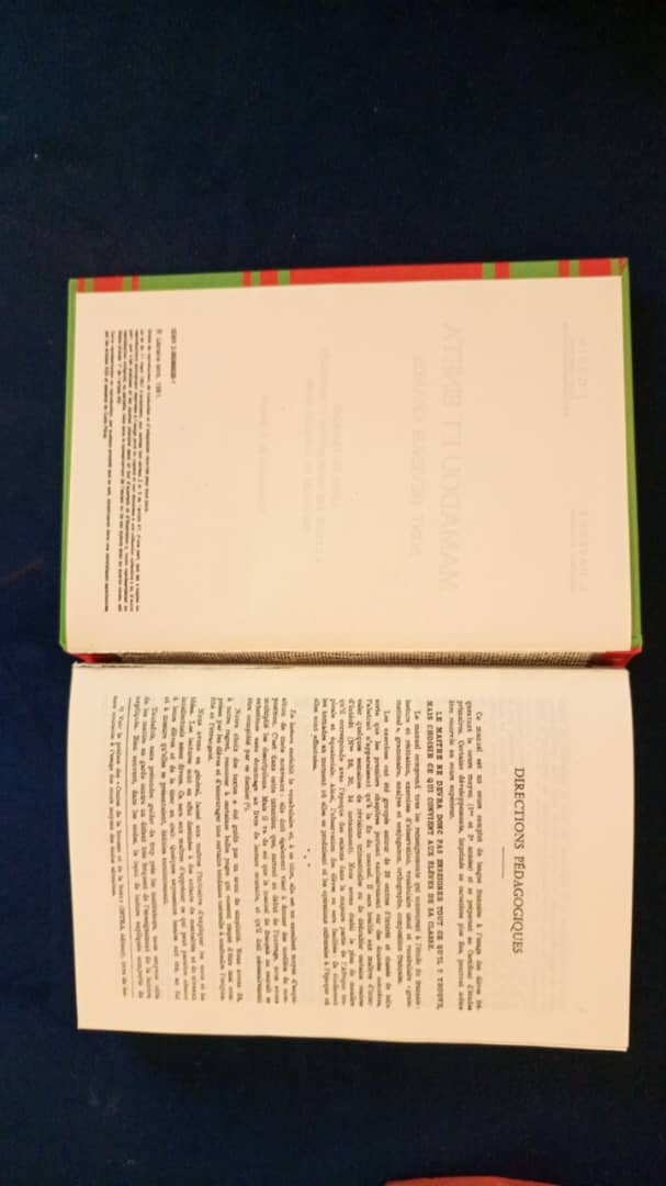MAMADOU ET BINETA sont devenus grands A.DAVESNE J.GOUIN EDICEF 411 pages – Image 4