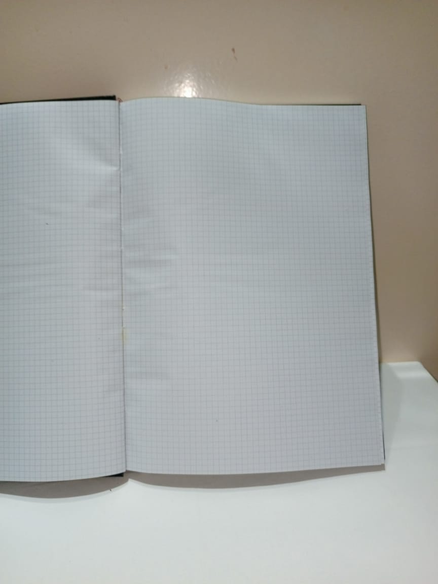 Registre simple quadrillé 400 pages 25x35cm 5x5mm – Image 2