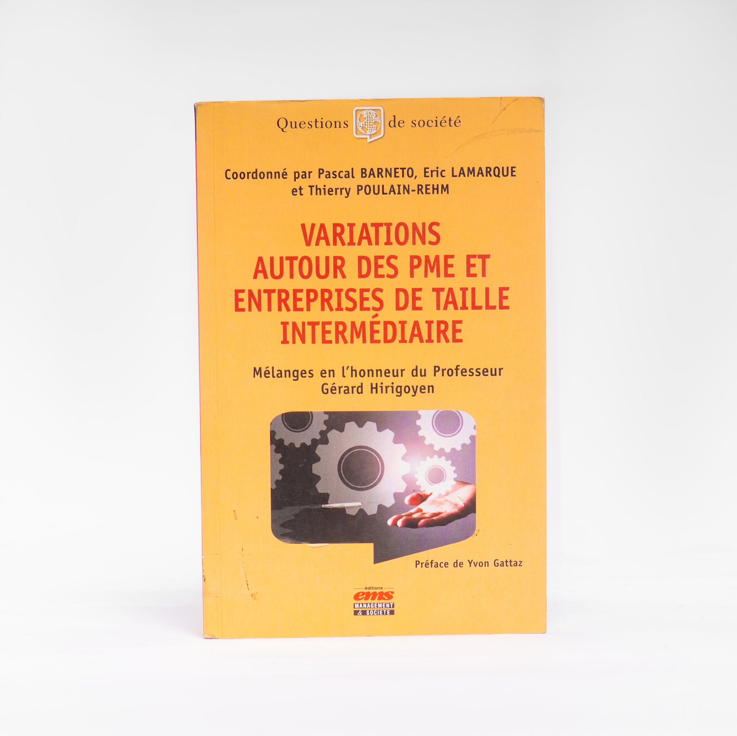 VARIATIONS AUTOUR DES PME ET ENTREPRISES DE TAILLE INTERMEDIAIRE Pascal Barneto éd.EMS Questions de société