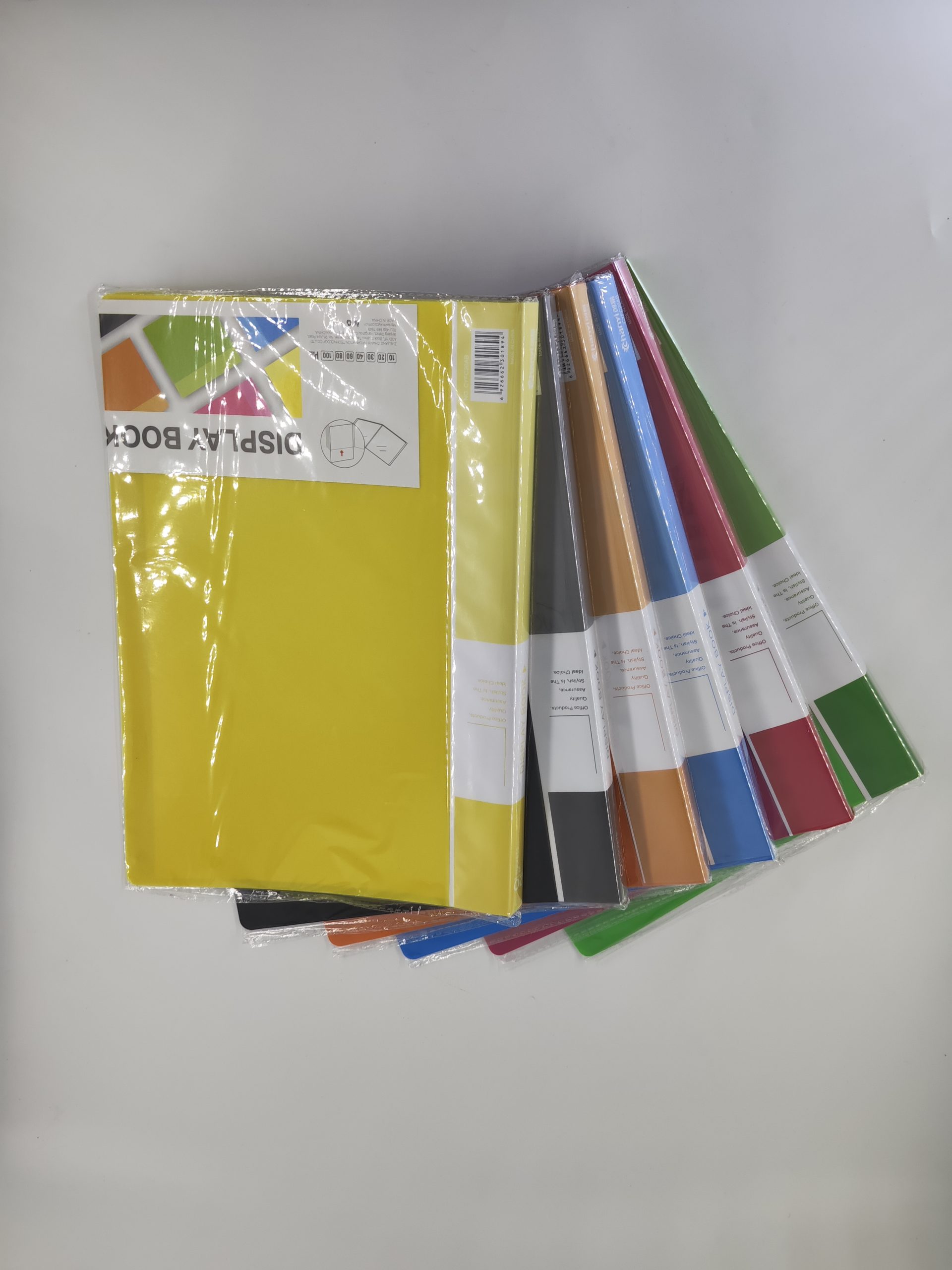 Lutin porte document 10 pochettes FC 20 vues Chanyi CYFC10AB – Image 10